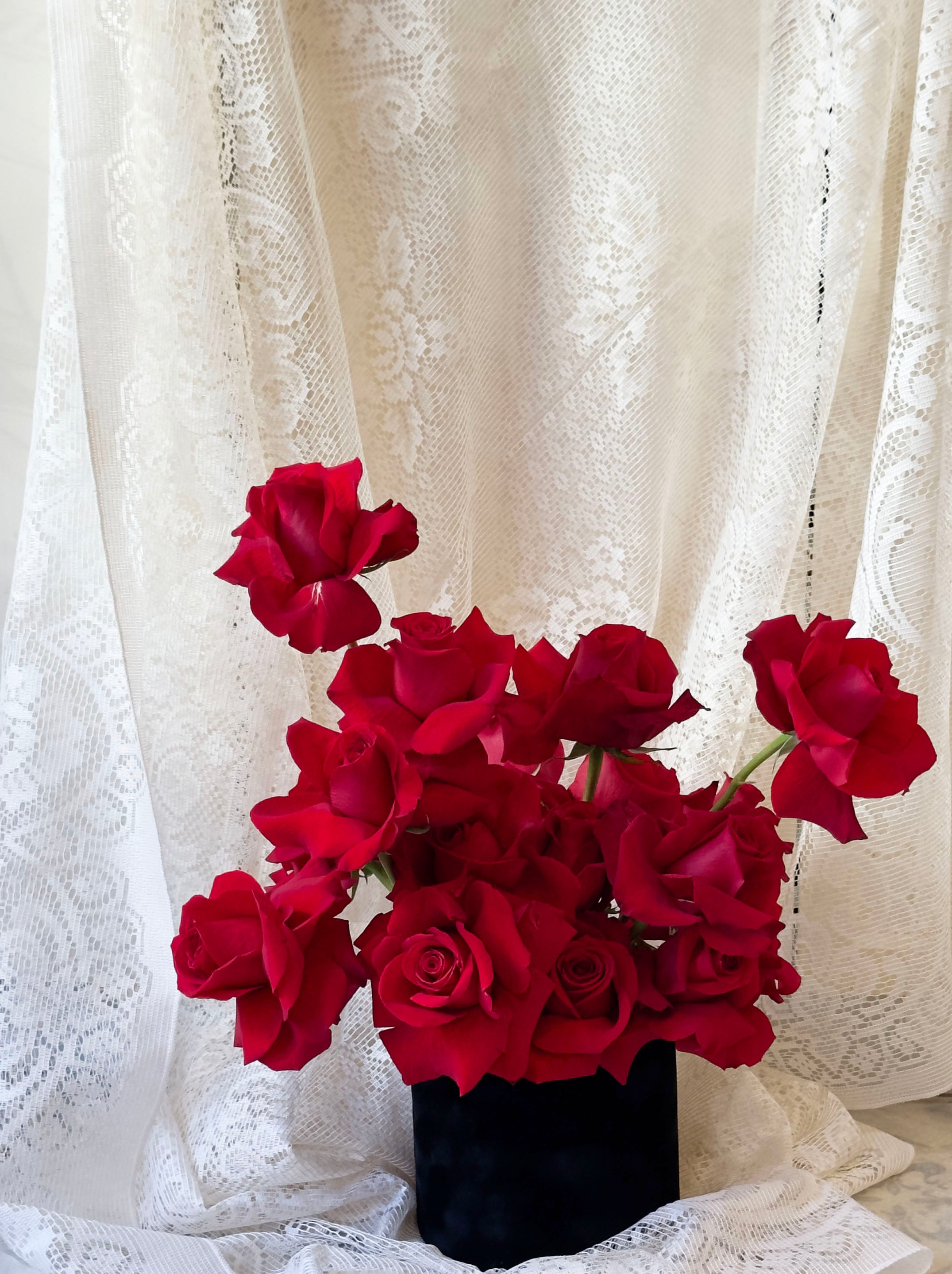 Classic Red Roses